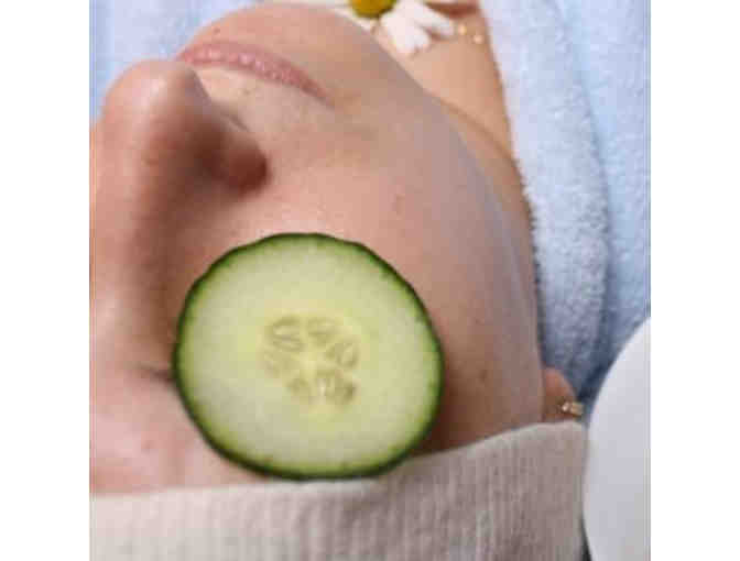 $25 Gift Certificate to Organic Elements Spa - Photo 3