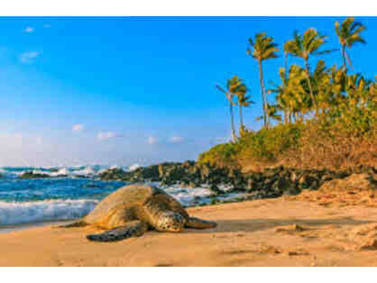 1-Week Vacation of Choice