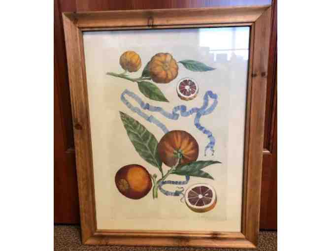 Vintage Fruit Print from Gates Home Furnishing - Photo 1