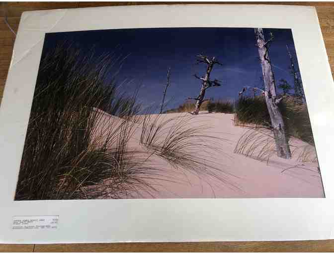 Umpqua Dunes Scenic Area Photograph - Photo 1