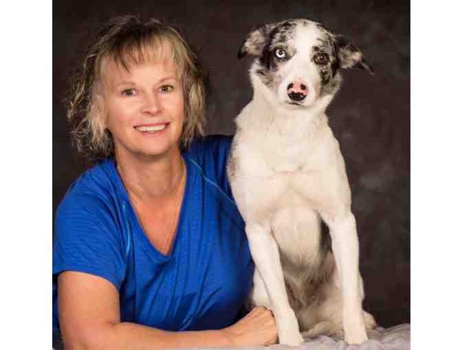 Pet Photography Session from Photography by Terry Tuttle