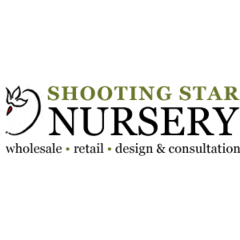 Shooting Star Nursery