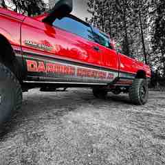 D'Arpino Creation Co.