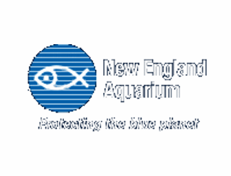 Boston Wildlife Adventure