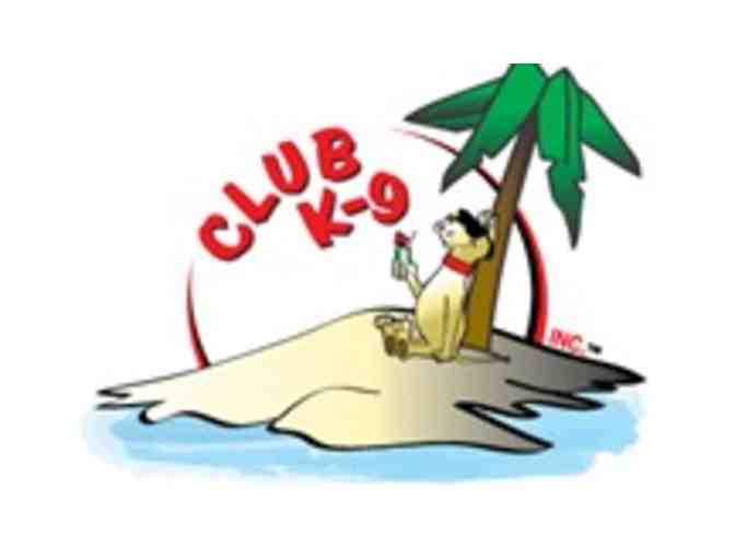 Two nights of dog boarding at Club K9
