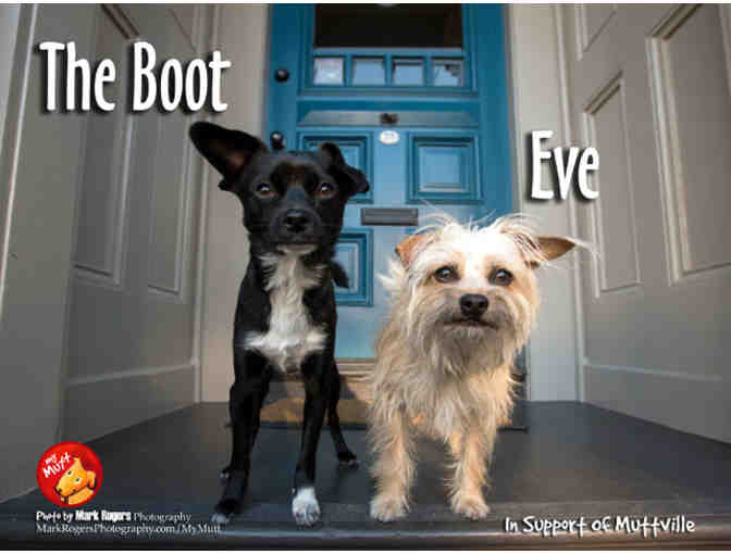 MAKE YOUR PET A STAR!