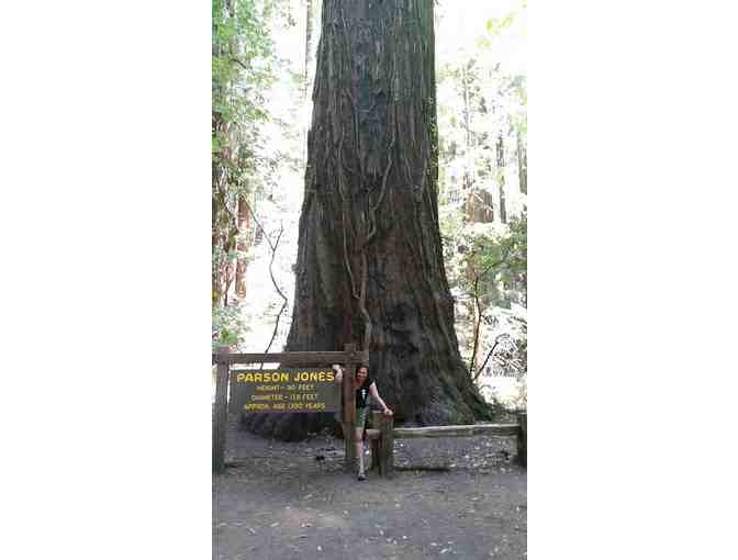 Russian River Getaway