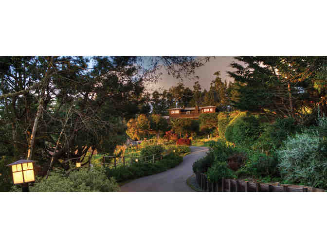 Pet Getaway at the Stanford Inn!