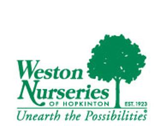 At Home Landscape Design & $100 GC for Weston Nurseries - Hopkinton, MA