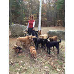 Marsha's Paws 4 Walk