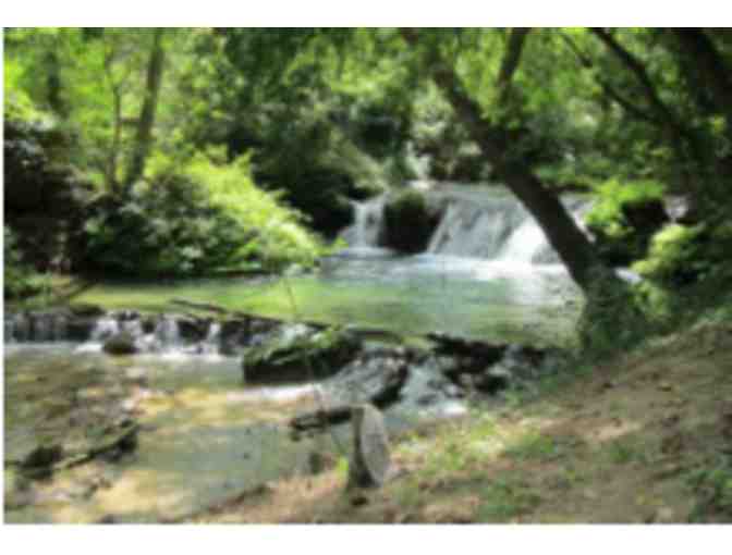Weekend Getaway at The Treehouse: A Cabin in the Blue Ridge Mountains