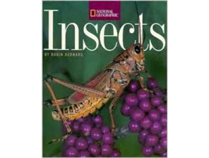 Scholastic Library: Eight Books for a Second Grade Reader