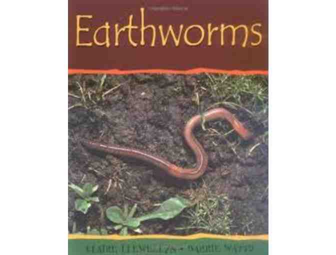 Scholastic Library: Eight Books for a Second Grade Reader