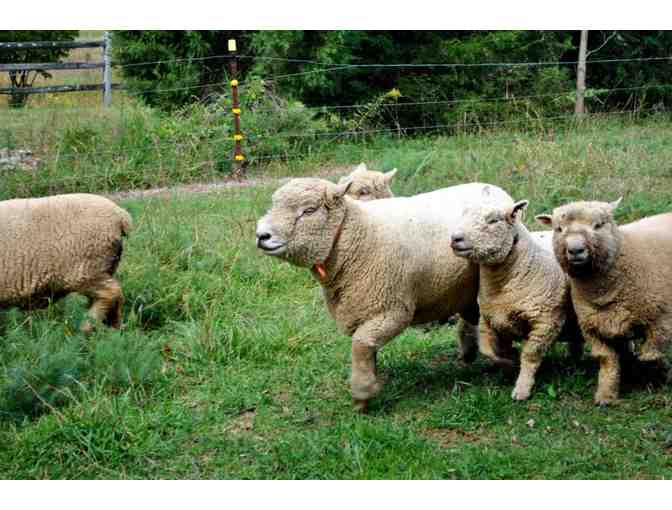 1734 Dinner: Professionally-Prepared for Ten Adults in Historic Stone Farm House