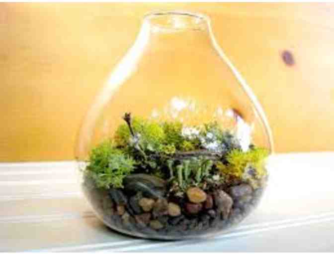 How to make a Terrarium--While Enjoying a Glass of Wine