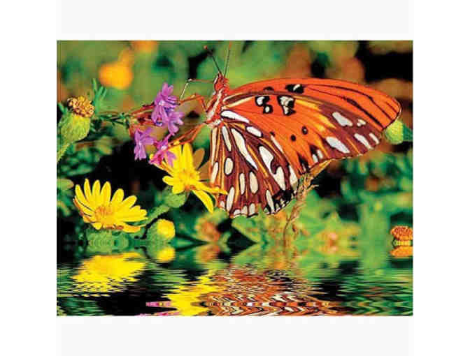 Jigsaw Puzzles for the Whole Family!