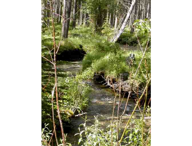 Montana Getaway for up to Seventeen Guests