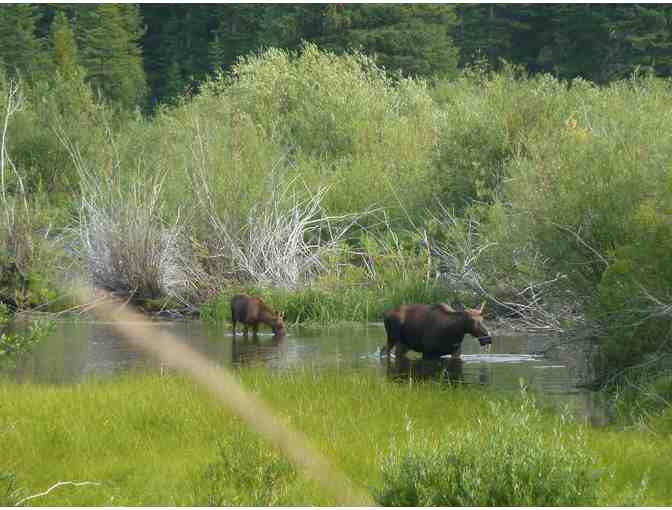 Montana Getaway for up to Seventeen Guests