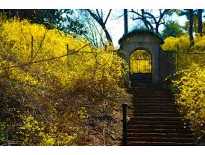 Dumbarton Oaks Park: Walking Tour for up to Ten People