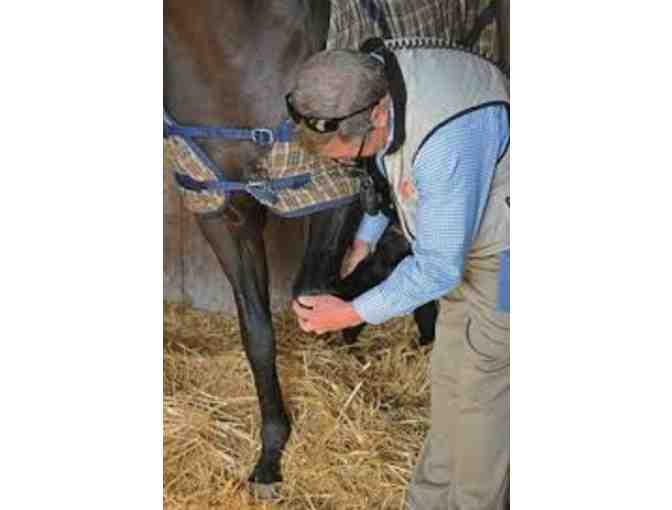 Veterinarian for a Day for TWO children
