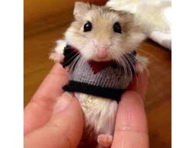 Pet Sitting Service for your Small Pet by Fourth Grader Zosia I.