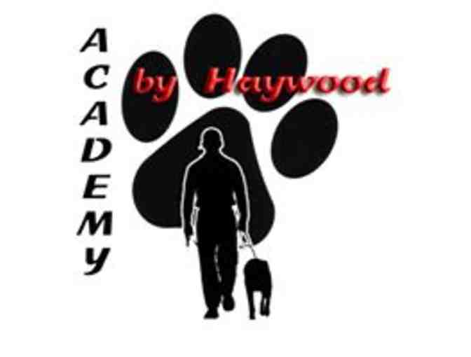 Academy Dog Training by Haywood