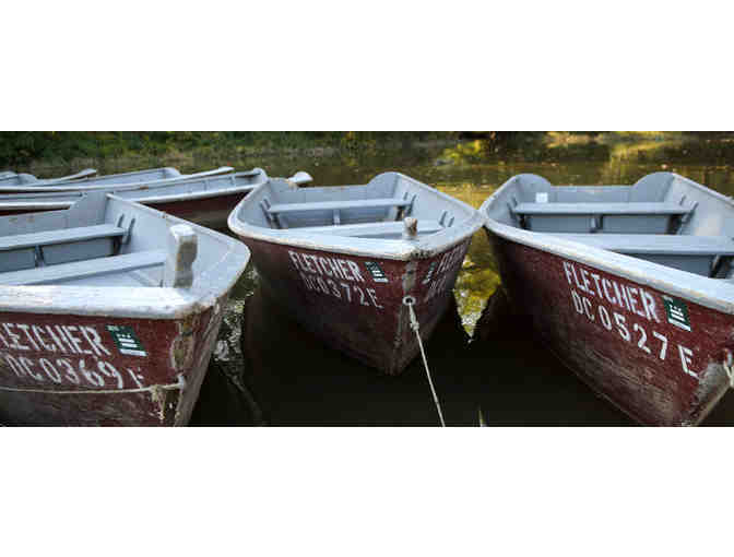 Shad Fishing at Fletchers Boathouse