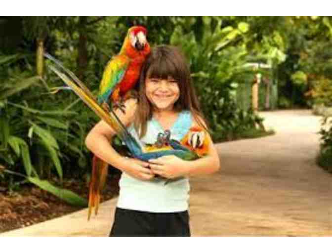 Miami Children's Museum & Jungle Island... Passes for 4 to EACH attraction!
