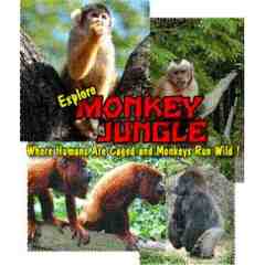 Monkey Jungle
