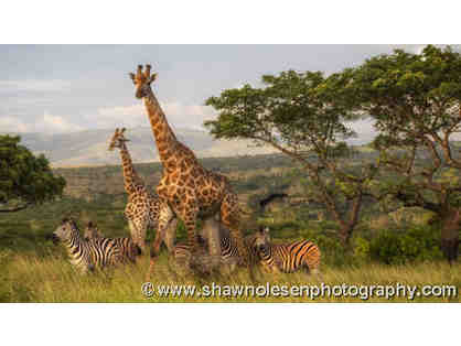 "I Dreamed of Africa" Photo Safari for Two at Zulu Nyala Game Lodge in South Africa