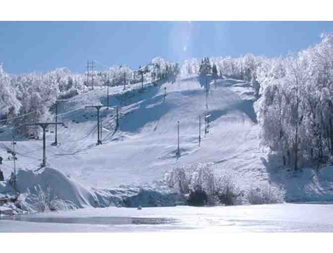 2 Lift Tickets for 2020-21 Season @ Mount Peter - Photo 1