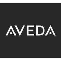 Scott J. Aveda Salon