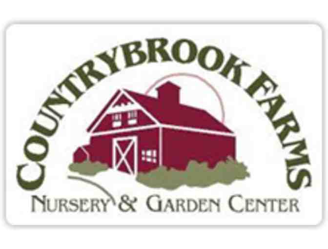 $25 Gift Certificate to Country Brook Farms - Photo 1