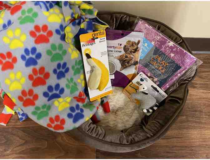 Cat Blanket, Toys and Bed - Photo 3
