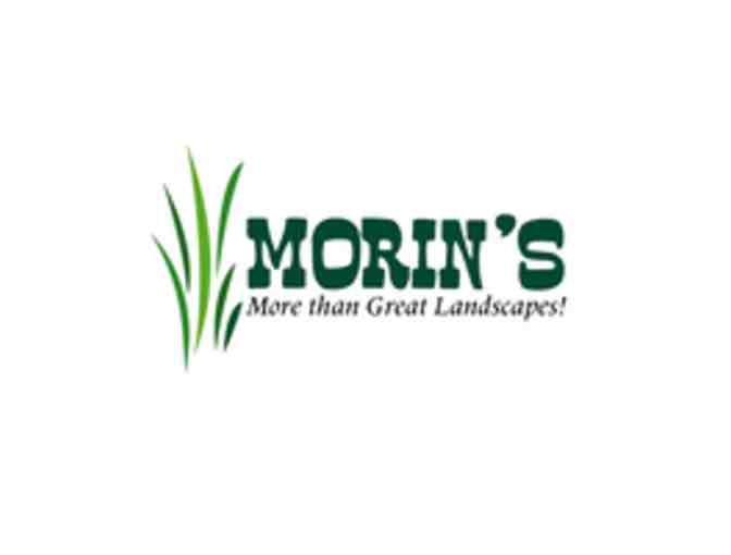 $100 Gift Certificate to Morin's Landcapes - Photo 1