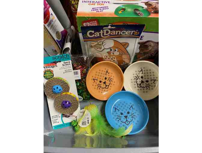 Cat Box full of goodies! - Photo 2