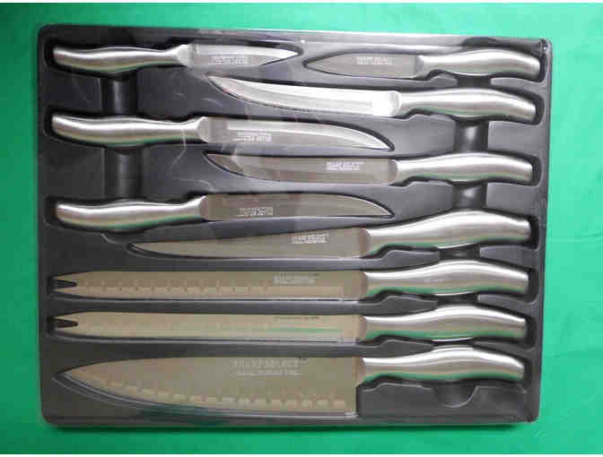Sharp Select Chef Deluxe 10 pc Knife Set