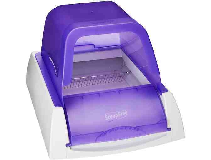 Self Cleaning Litter Box