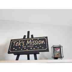 Tek's Mission