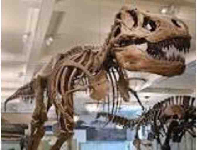MUSEUM OF NATURAL HISTORY: A personally guided docent tour for you and your family!