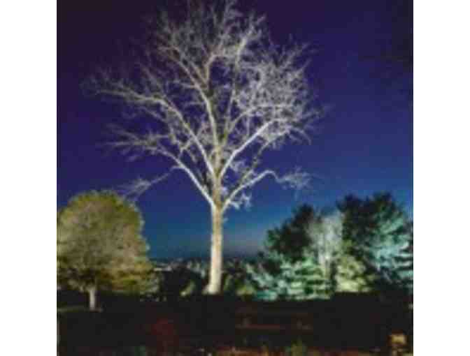 LIGHT UP THE NIGHT WITH DESIGN LIGHTING BY MARKS