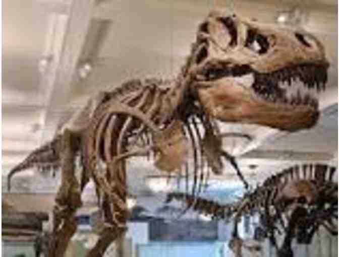 MUSEUM OF NATURAL HISTORY: A personally guided docent tour for you and your family! - Photo 2