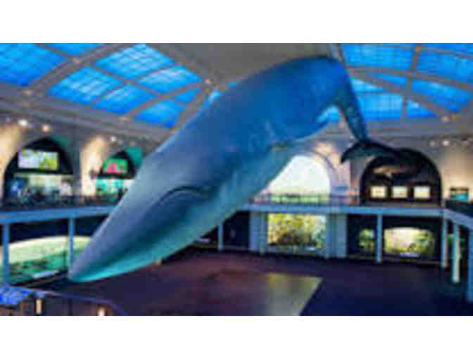 MUSEUM OF NATURAL HISTORY: A personally guided docent tour for you and your family!