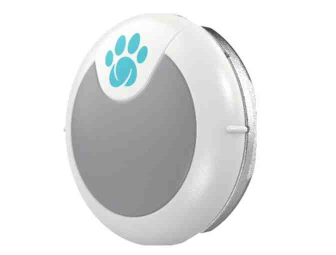 Animo Activity Tracker and Behavior Monitor for Dogs