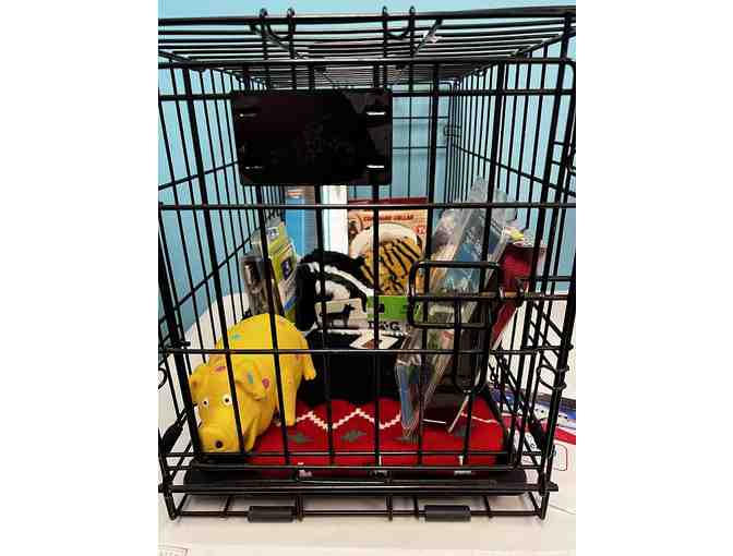 Wire Pet cage and Accessories