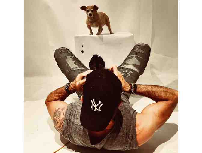 Portrait of your Pet by RICHARD PHIBBS Fashion and Fine Art Photographer