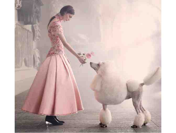 Portrait of your Pet by RICHARD PHIBBS - Fashion and Fine Art Photographer