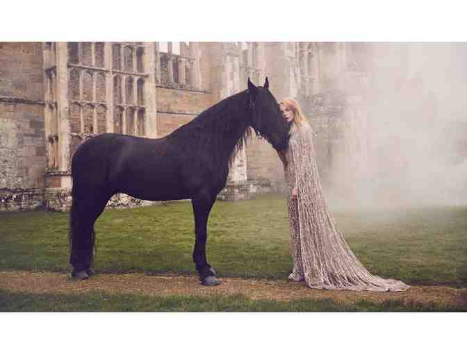 Portrait of your Pet by RICHARD PHIBBS - Fashion and Fine Art Photographer