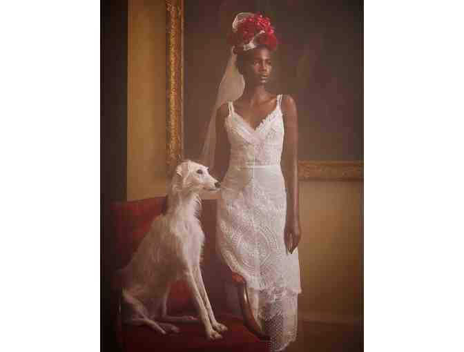 Portrait of your Pet by RICHARD PHIBBS - Fashion and Fine Art Photographer