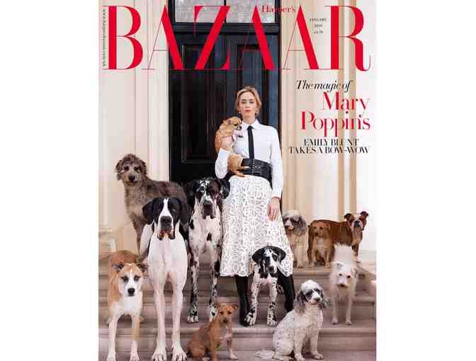 Portrait of your Pet by RICHARD PHIBBS - Fashion and Fine Art Photographer